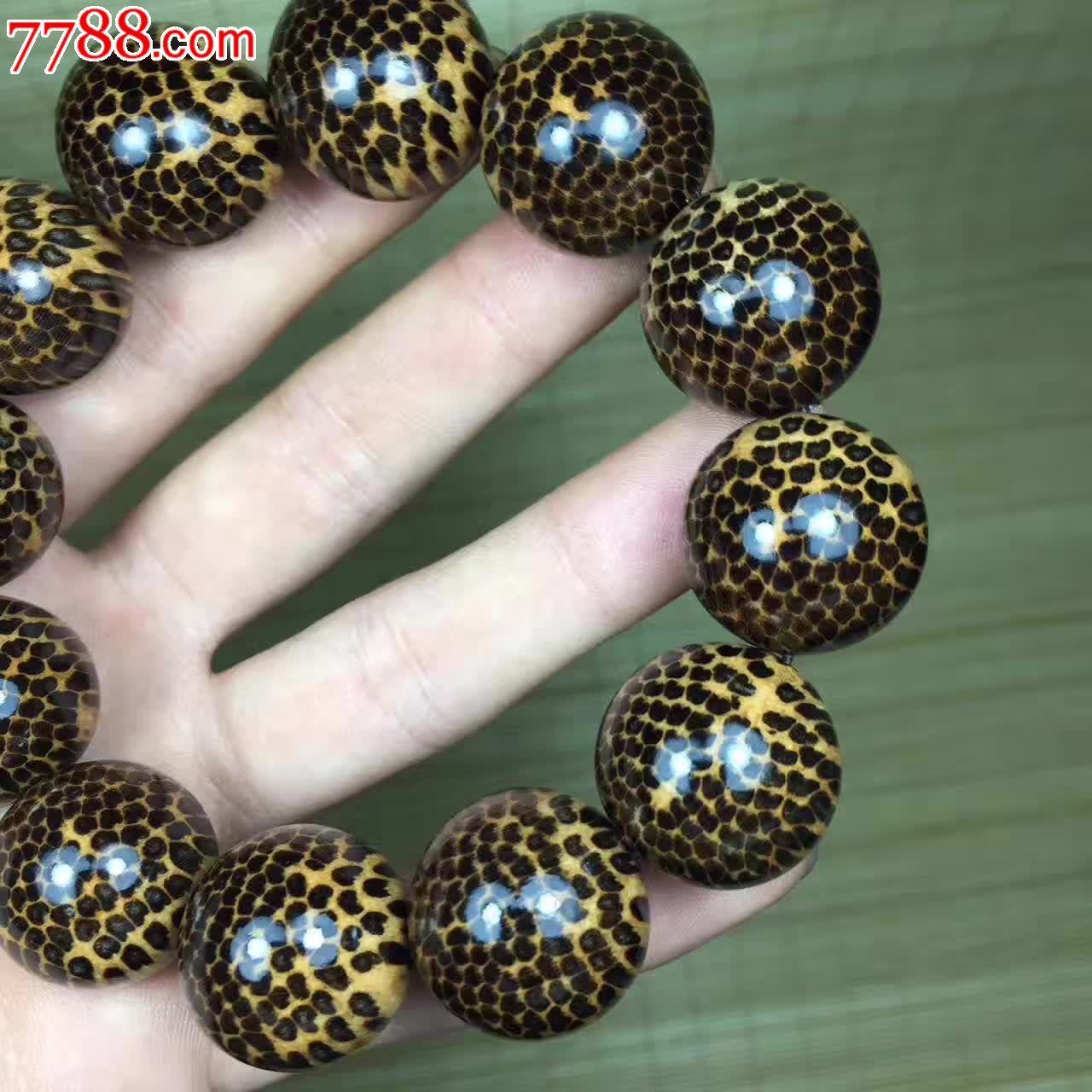 编号批发售价蛇鳞木介