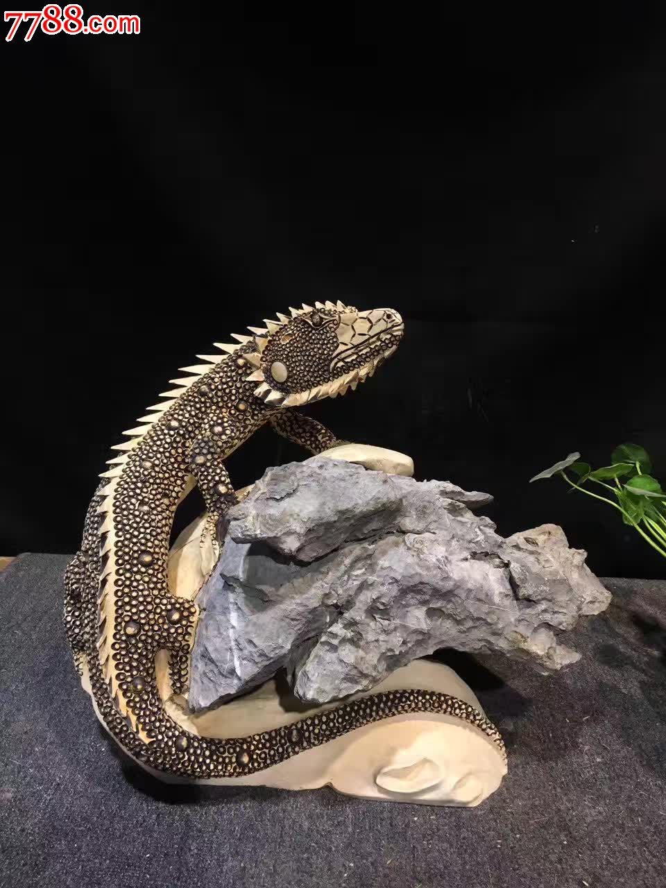 蜥蜴吸金过亿木种水黄