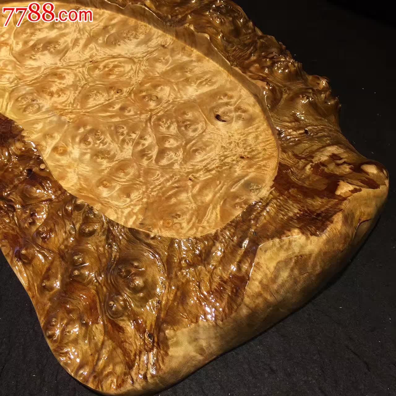 黄金樟简介满瘤自然边