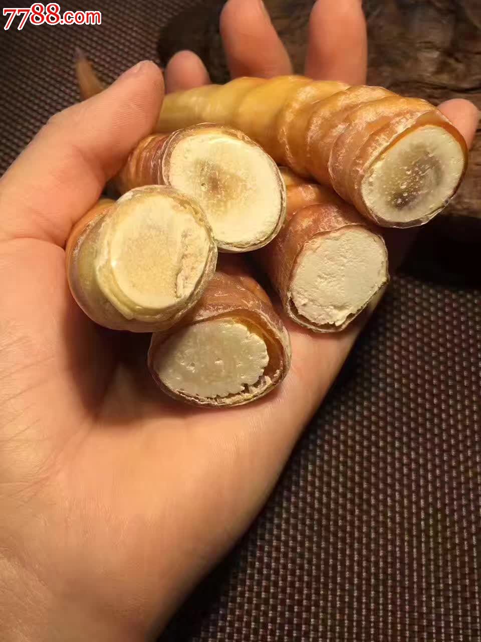 羊角小摆件度左右度8