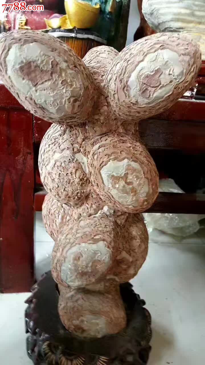 结核石厘米木箱